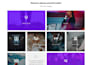 design brilliant directory website directory website brilliant directory website